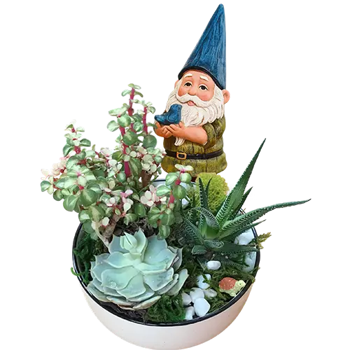 art studio garden gnome project
