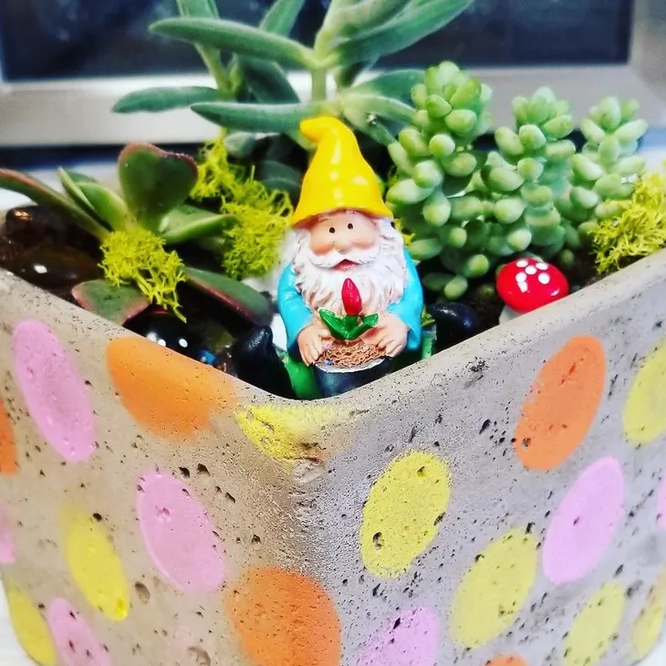 Succulent garden project showcasing the diversity of crafts in the Paint Your Own Pottery Franchise